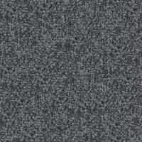 Sonica 03